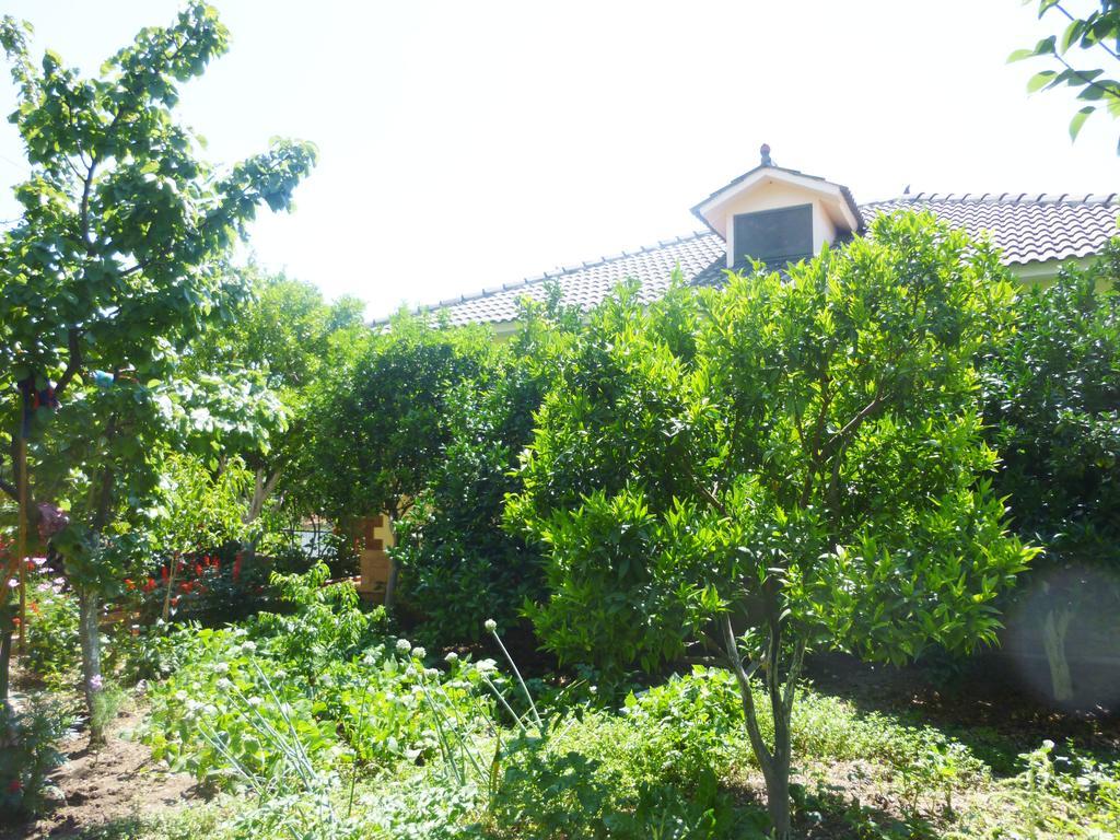 Vila Altini Borsh Εξωτερικό φωτογραφία